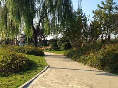 �����̵ع���