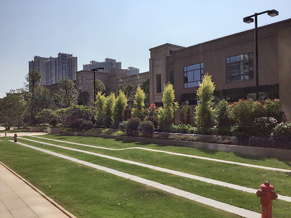 ����԰�־��۹���