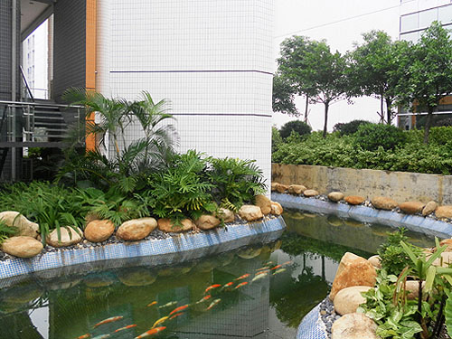 �㶫ŷ�ɼ��š��������ڻ��ƻ��������ˮ��