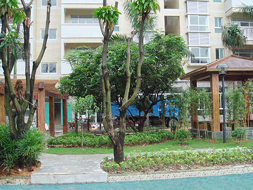 ����Сѧ��������ͤһ��