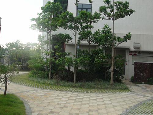 ��ɽ�������幫��