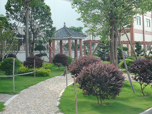 ���������̻�