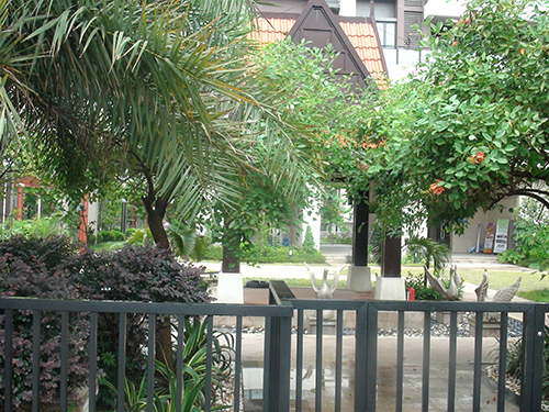 ��ɽ�������幫��