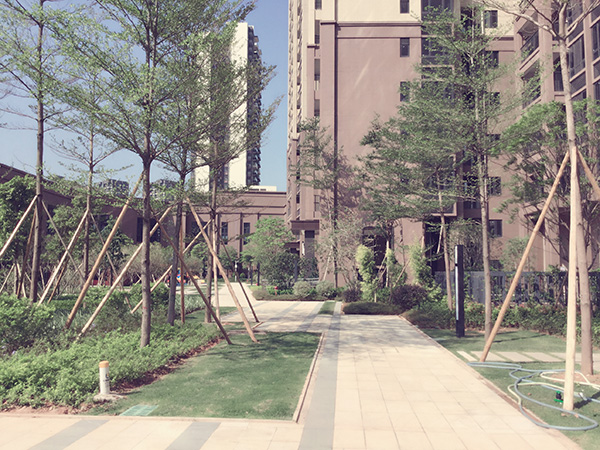 ����԰�־��۹���