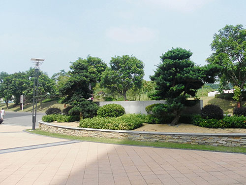 Ҽ��ׯ԰����Ȼֲ����ֲЧ��