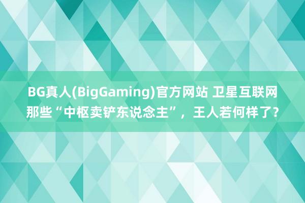 BG真人(BigGaming)官方网站 卫星互联网那些“中枢卖铲东说念主”，王人若何样了？