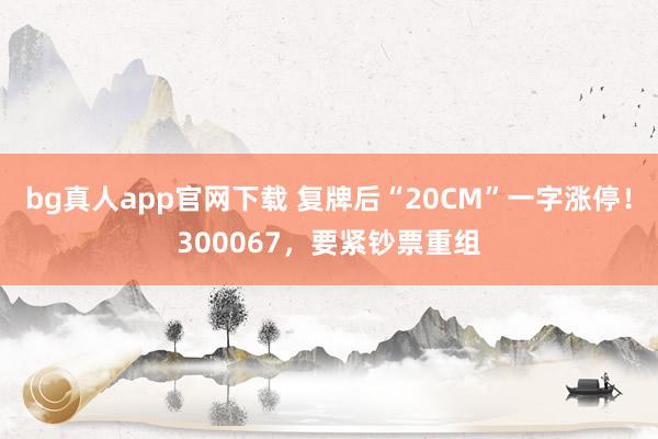 bg真人app官网下载 复牌后“20CM”一字涨停！300067，要紧钞票重组