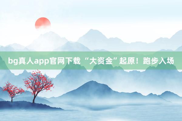 bg真人app官网下载 “大资金”起原！跑步入场
