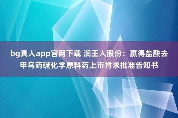 bg真人app官网下载 润王人股份：赢得盐酸去甲乌药碱化学原料药上市肯求批准告知书
