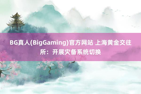 BG真人(BigGaming)官方网站 上海黄金交往所：开展灾备系统切换