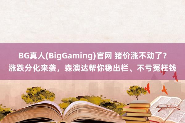 BG真人(BigGaming)官网 猪价涨不动了？涨跌分化来袭，森澳达帮你稳出栏、不亏冤枉钱