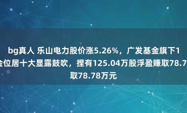 bg真人 乐山电力股价涨5.26%，广发基金旗下1只基金位居十大显露鼓吹，捏有125.04万股浮盈赚取78.78万元