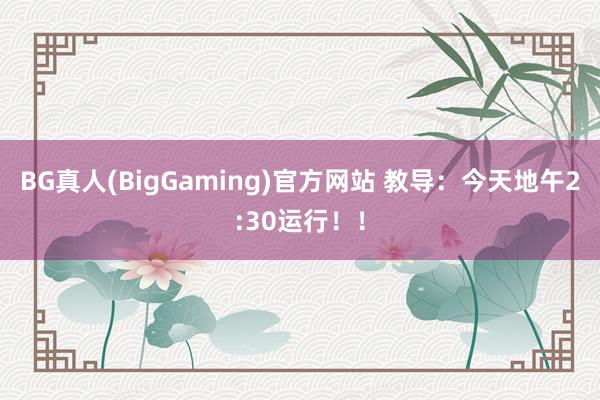 BG真人(BigGaming)官方网站 教导：今天地午2:30运行！！