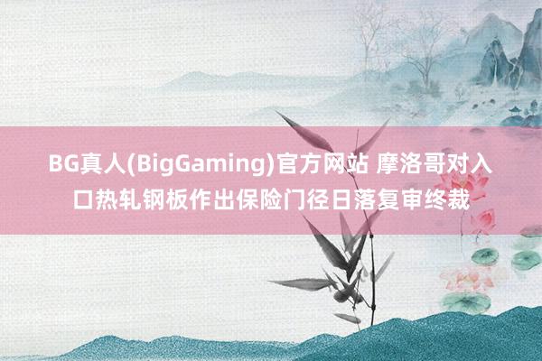 BG真人(BigGaming)官方网站 摩洛哥对入口热轧钢板作出保险门径日落复审终裁