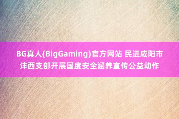 BG真人(BigGaming)官方网站 民进咸阳市沣西支部开展国度安全涵养宣传公益动作