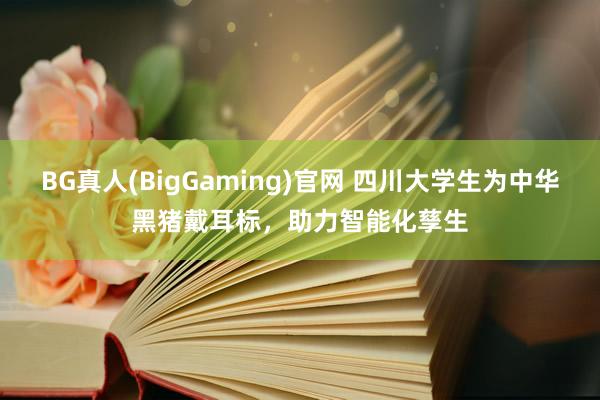 BG真人(BigGaming)官网 四川大学生为中华黑猪戴耳标，助力智能化孳生