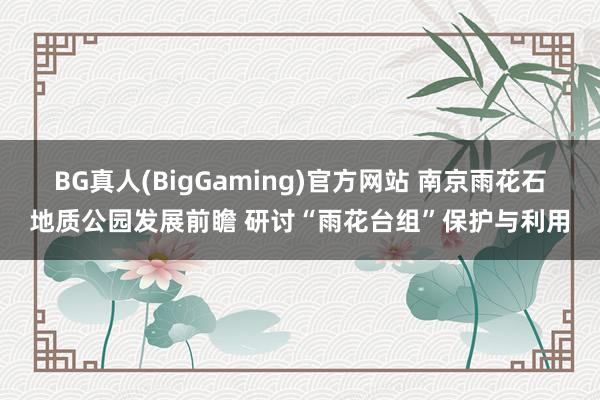 BG真人(BigGaming)官方网站 南京雨花石地质公园发展前瞻 研讨“雨花台组”保护与利用