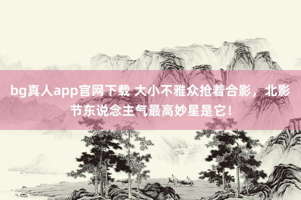bg真人app官网下载 大小不雅众抢着合影，北影节东说念主气最高妙星是它！