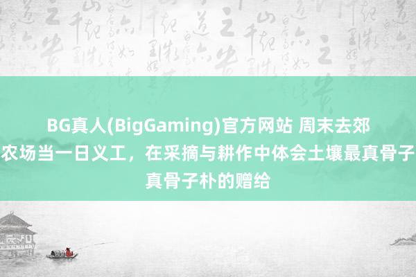 BG真人(BigGaming)官方网站 周末去郊区的有机农场当一日义工，在采摘与耕作中体会土壤最真骨子朴的赠给