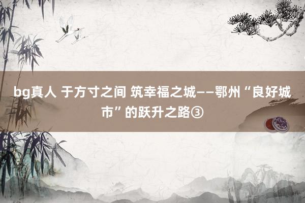 bg真人 于方寸之间 筑幸福之城——鄂州“良好城市”的跃升之路③