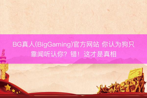 BG真人(BigGaming)官方网站 你认为狗只靠闻听认你？错！这才是真相