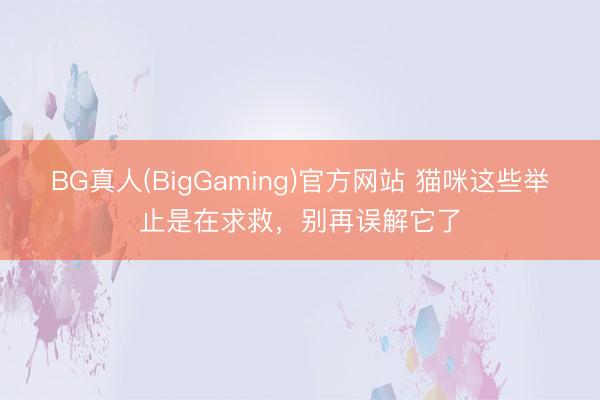 BG真人(BigGaming)官方网站 猫咪这些举止是在求救，别再误解它了