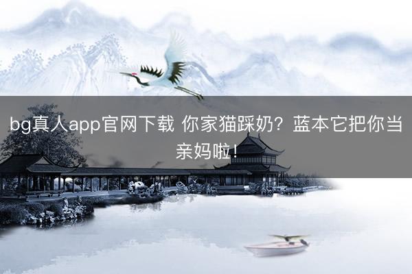 bg真人app官网下载 你家猫踩奶？蓝本它把你当亲妈啦！