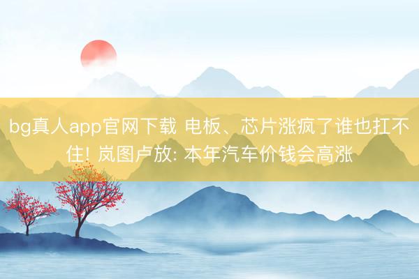 bg真人app官网下载 电板、芯片涨疯了谁也扛不住! 岚图卢放: 本年汽车价钱会高涨